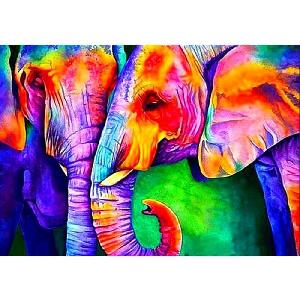 Diamond Painting Colorful Elephant $4.79