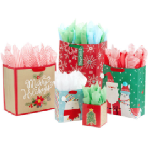 2 FREE Gift Bags + FREE Shipping