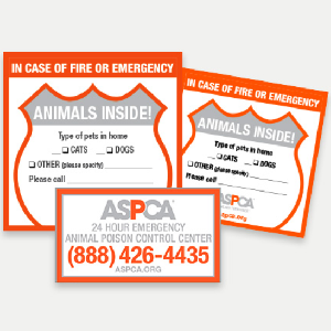 FREE Pet Safety Pack