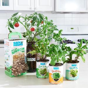FREE Back to the Roots Gardening Kits