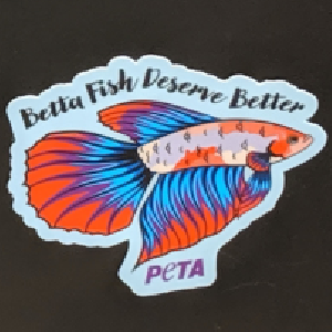 Free Betta Fish Deserve Better Stickers
