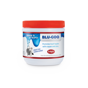 Free Sample of Blu-Goo for Dairy Cows