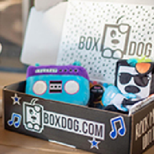 BoxDog Box for ONLY $10 Shipped