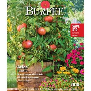 FREE 2018 Seed Catalog from Burpee