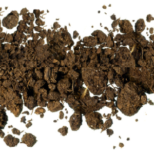 Free Citizen Science Soil Collection Kit