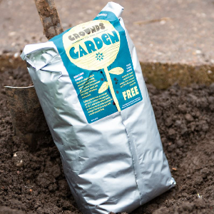 FREE Coffee Grounds for Your Garden