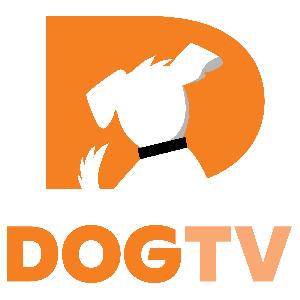 DogTV: 3 Months for only $6