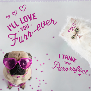 Free Valentine's Day Card from your Pet