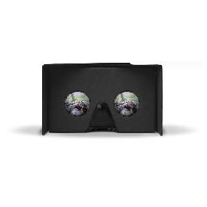 FREE Google Cardboard VR Viewer