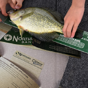Free Fish Ruler And Information Packet