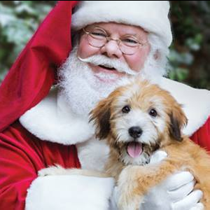 Free Pet Holiday Photo with Santa