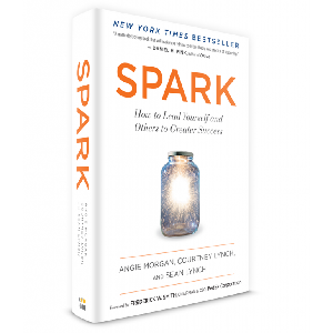 Free copy of the book SPARK