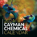 Freebie Image