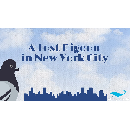 Freebie Image