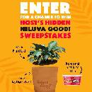 Contest Image