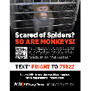 Free Monkey Terror Experiment Flyers