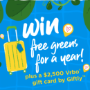 Contest Image