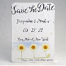 Freebie Image
