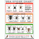 Freebie Image