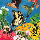 Freebie Image