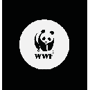 Freebie Image